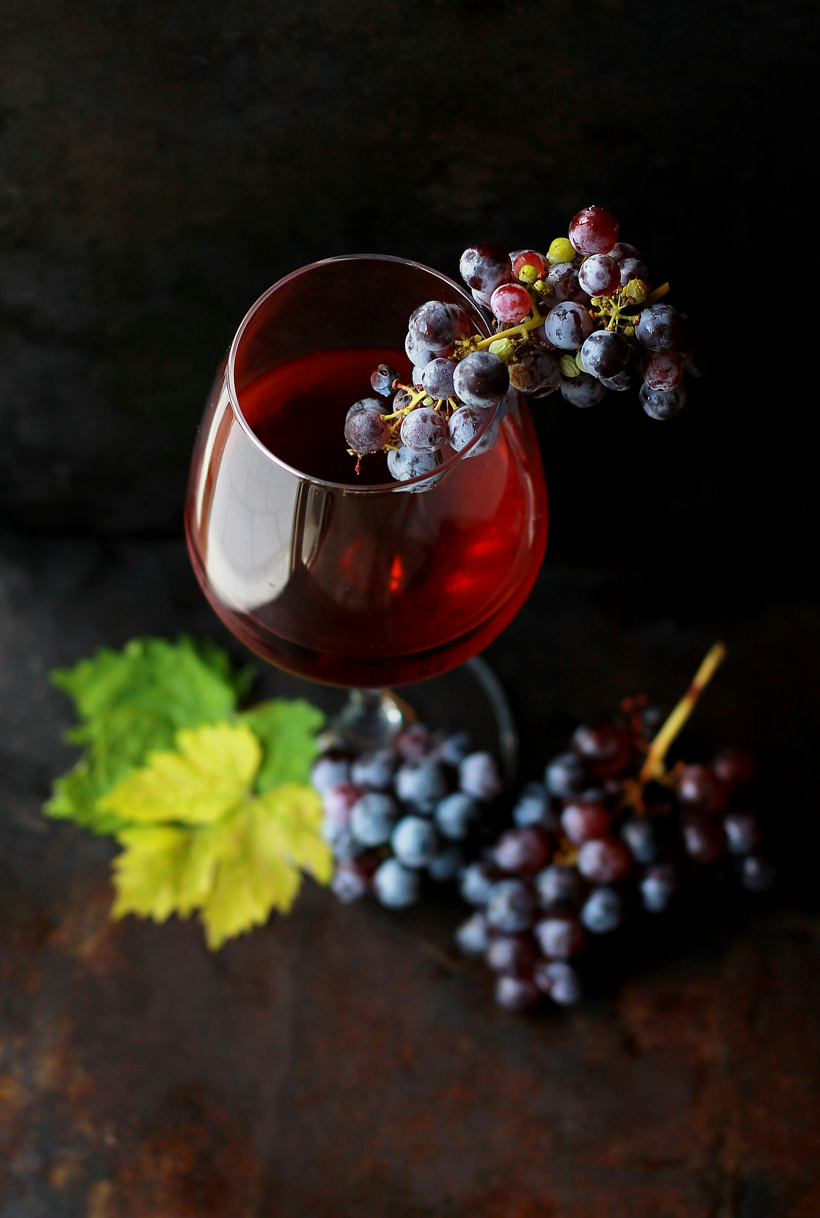 Prova de vinhos no Douro - fotografia 3